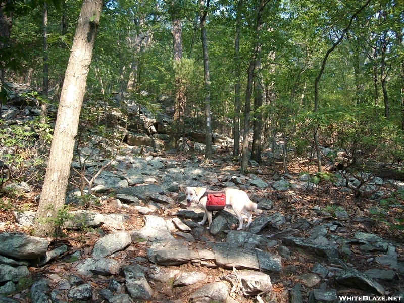 Appalachian Trial-pen Mar-boonsboro-2010 011