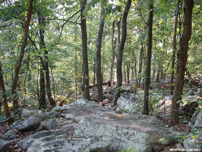 Appalachian Trial-pen Mar-boonsboro-2010 012