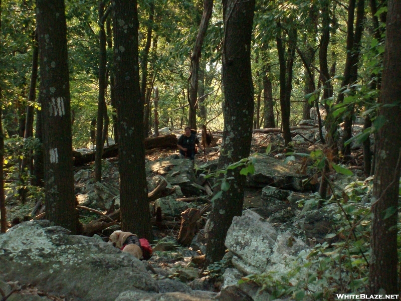 Appalachian Trial-pen Mar-boonsboro-2010 013