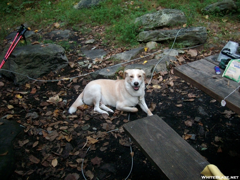 Appalachian Trial-pen Mar-boonsboro-2010 029