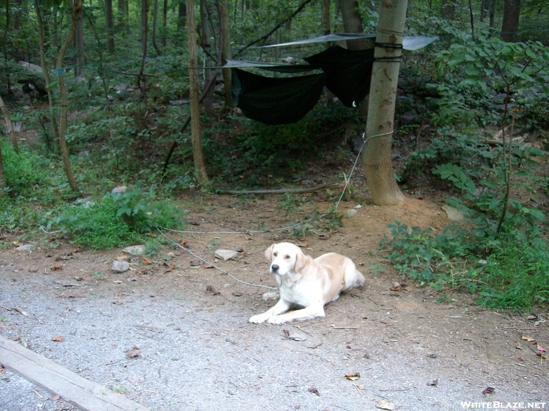 Appalachian Trial-pen Mar-boonsboro-2010 040