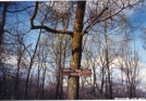 Trail Sign by Buckingham in Trail & Blazes in New Jersey & New York