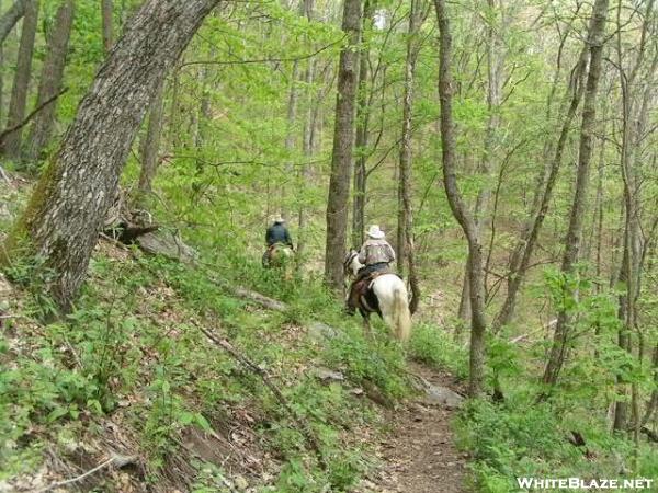 Riders on the trail