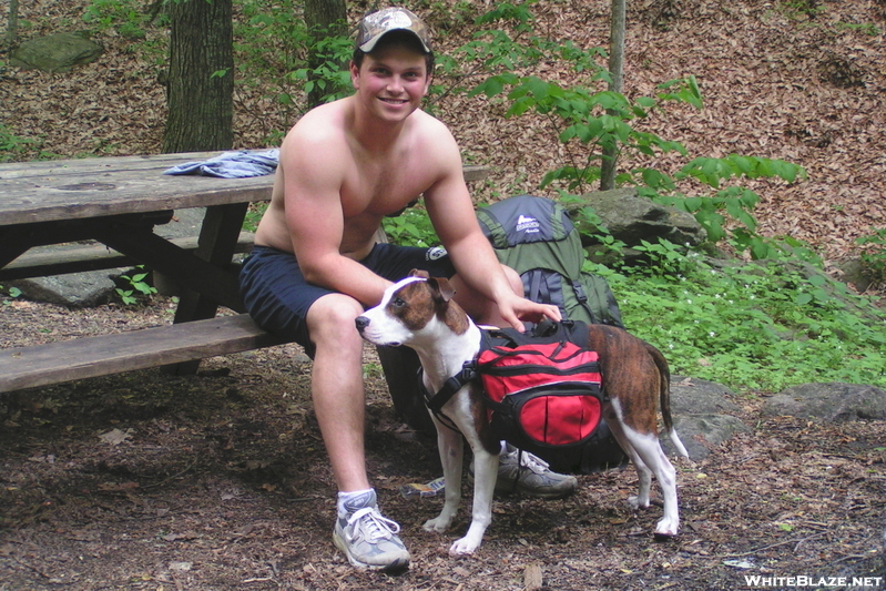 K9 On The Trail