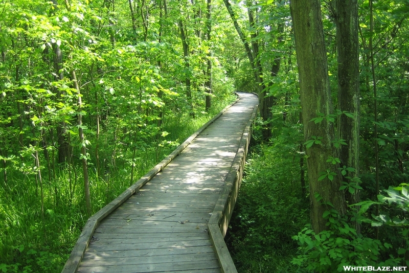 Boardwalk