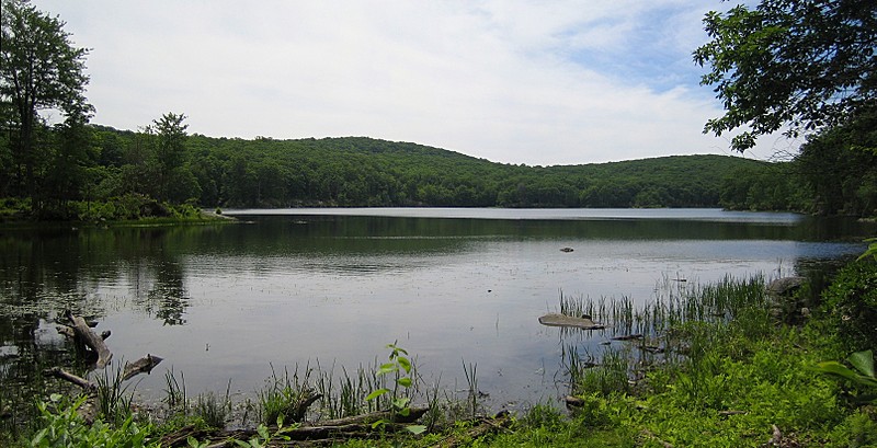 Nuclear Lake NY