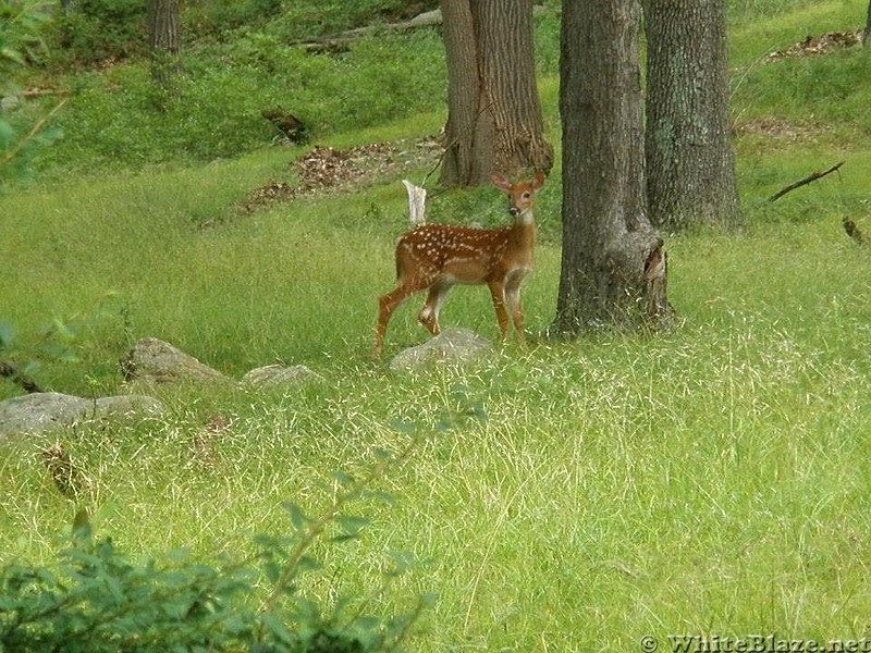 Who are you looking at?