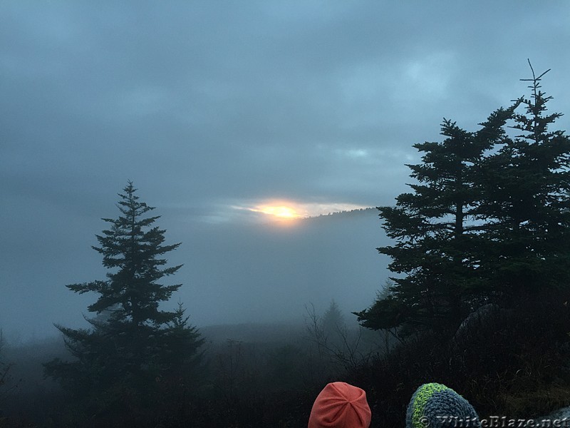 Mount Rogers via Massie Gap Hike