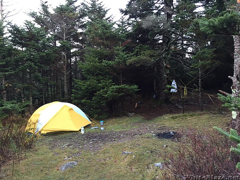 Mount Rogers via Massie Gap Hike