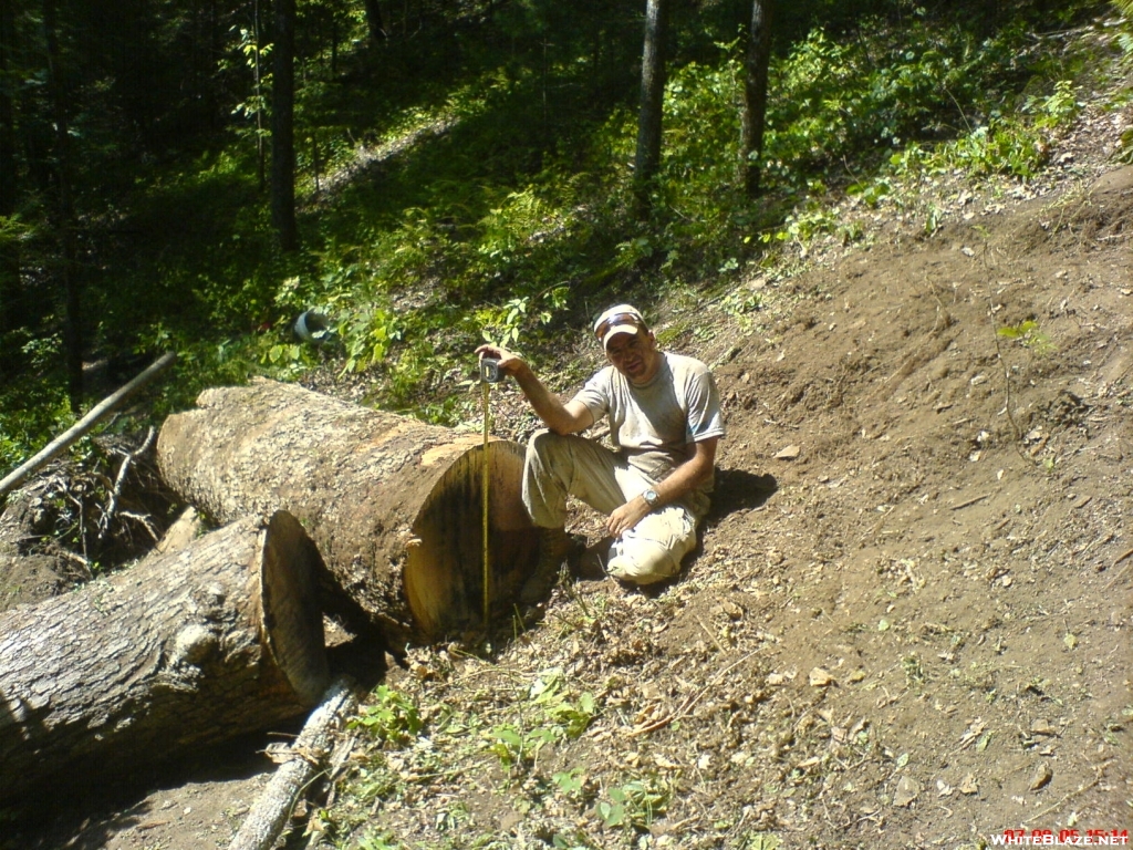 Big Blowdown on the BMT - Rock