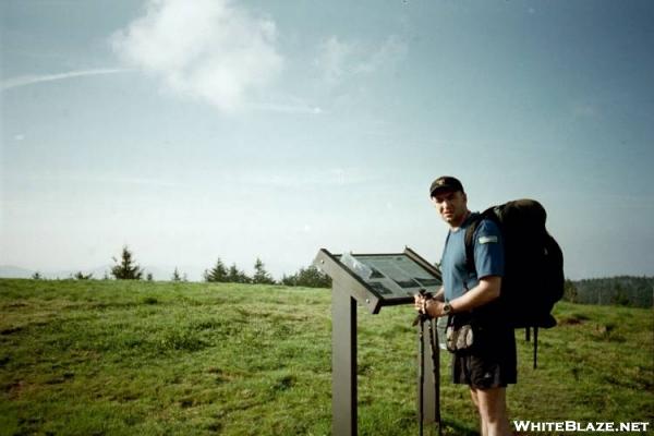 SGT Rock on Roan Mountain