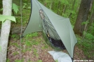 Hennessy Hammock& MacCat Tarp by SGT Rock in Hammock camping