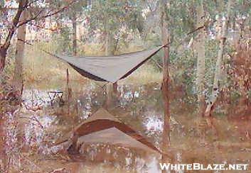 Hennessy Hammock in Iraqi Swamp