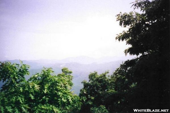 View from Wayah Bald