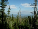 Looking Toward The Maine Ponds by Blissful in Views in Maine