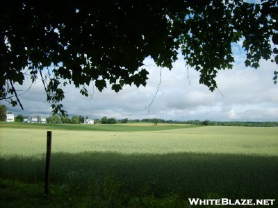 Pa Farmland