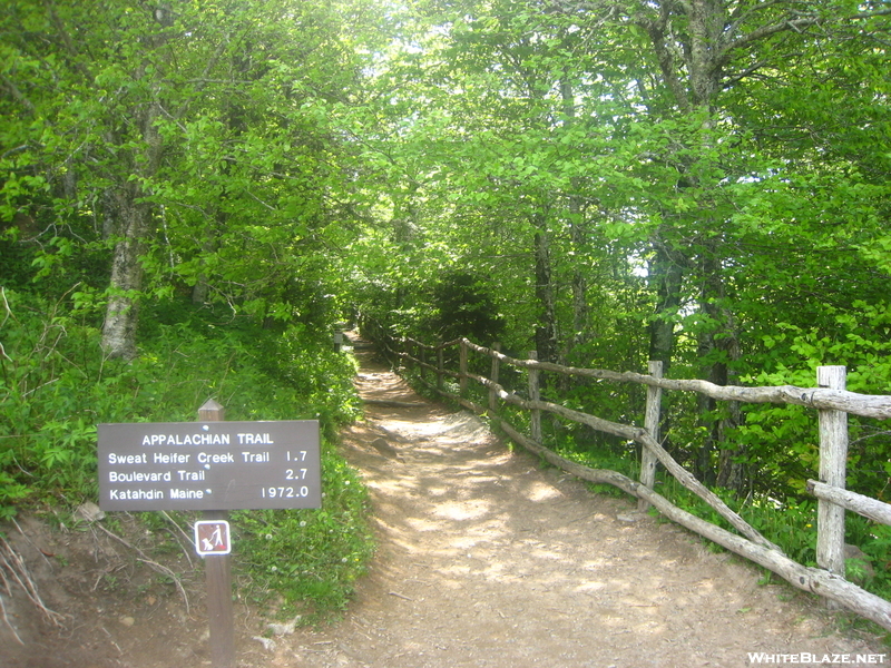 Newfound Gap, Northbound