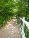 Newfound Gap, Northbound