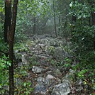 Raining on AT 9-10-15 by sas3112 in Section Hikers