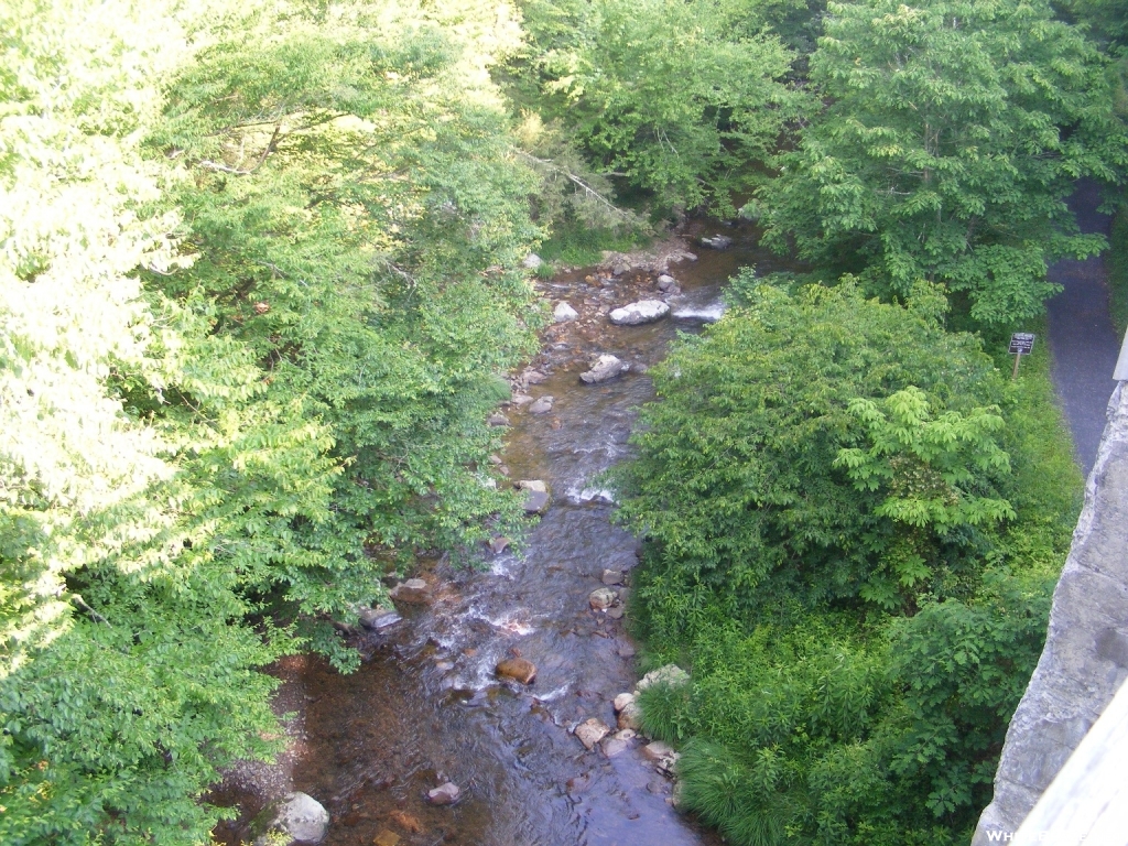 Creek from Creeper Trail Bridge