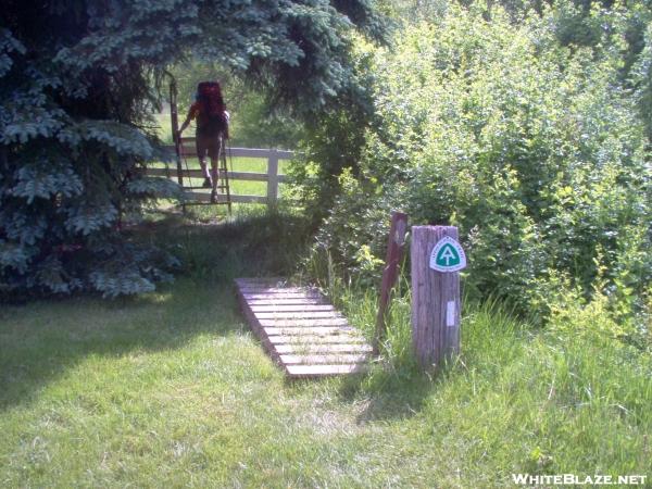 Fence Crossing in Virginia