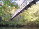 Suspension Bridge