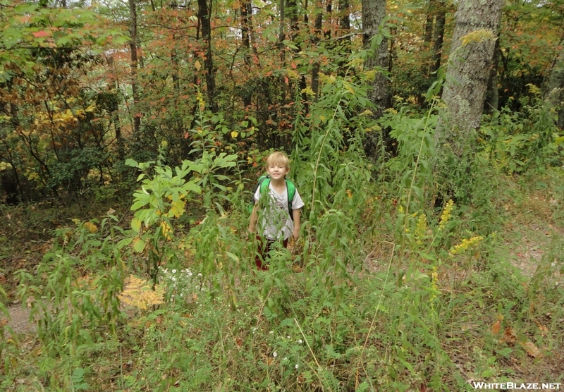 Joshua On Trail