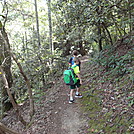 Garenflo Gap to Hot Springs by FlyPaper in Section Hikers