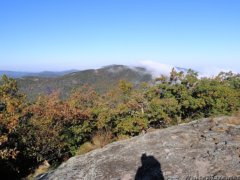 View in Georgia 