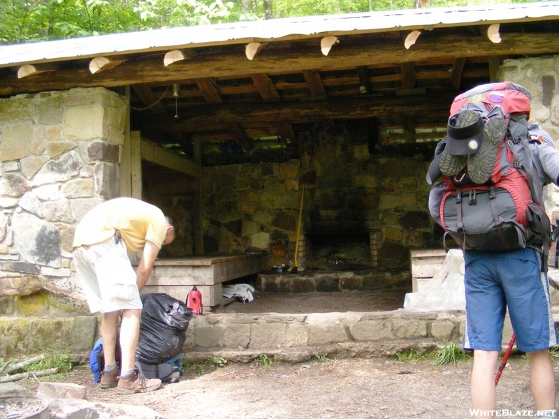 Pine Swamp Branch Shelter