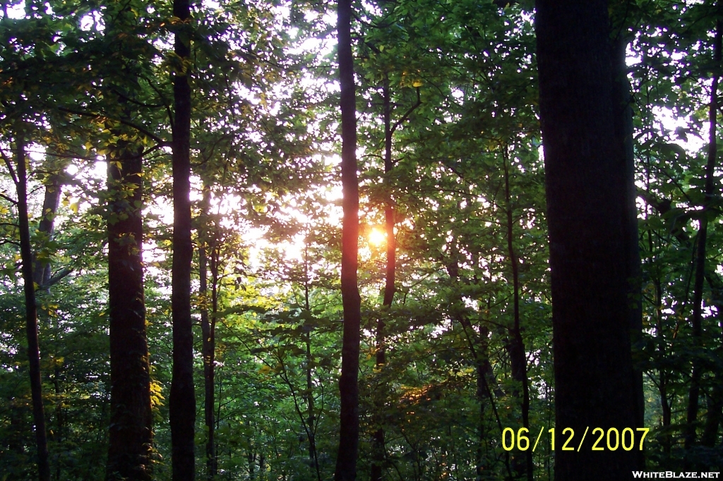 Early morning view from Top Blue Mtn.