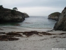 Big Sur Trip by Pacific Tortuga in Other