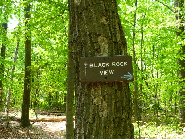 Maryland Trail Signs