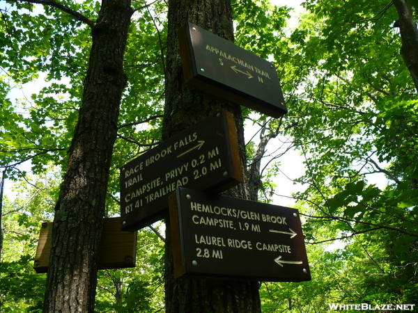 Massachusetts Trail Signs