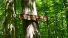 Massachusetts Trail Signs by Undershaft in Sign Gallery