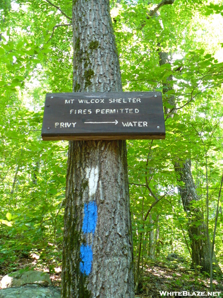 Massachusetts Trail Signs