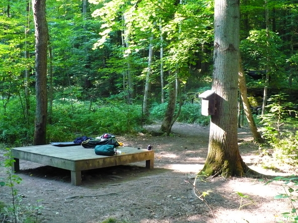 Shaker Campsite