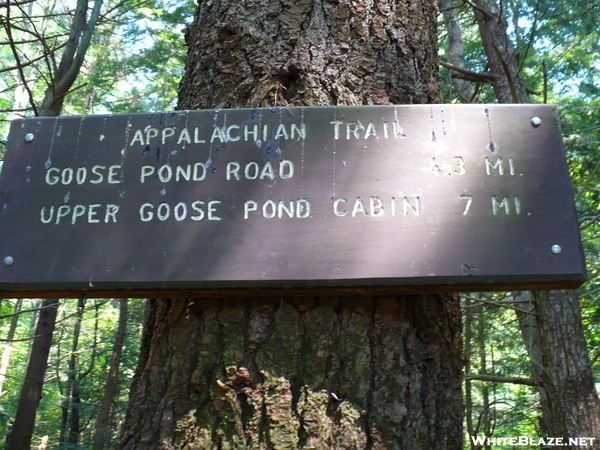 Massachusetts Trail Signs