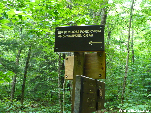 Massachusetts Trail Signs