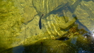 Fish In Upper Goose Pond by Undershaft in Other