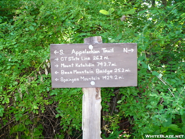 Ney York Trail Signs