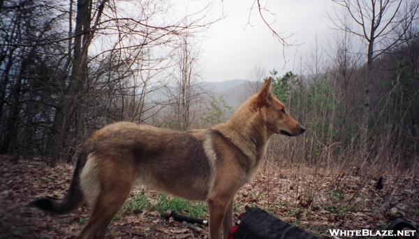 Coy during her AT '03 thru-hike