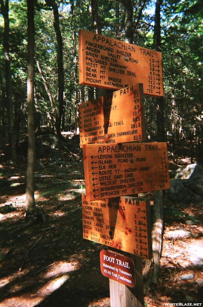 Elaborate sign post 1.5 miles south of Fingerboard Shelter in NY.