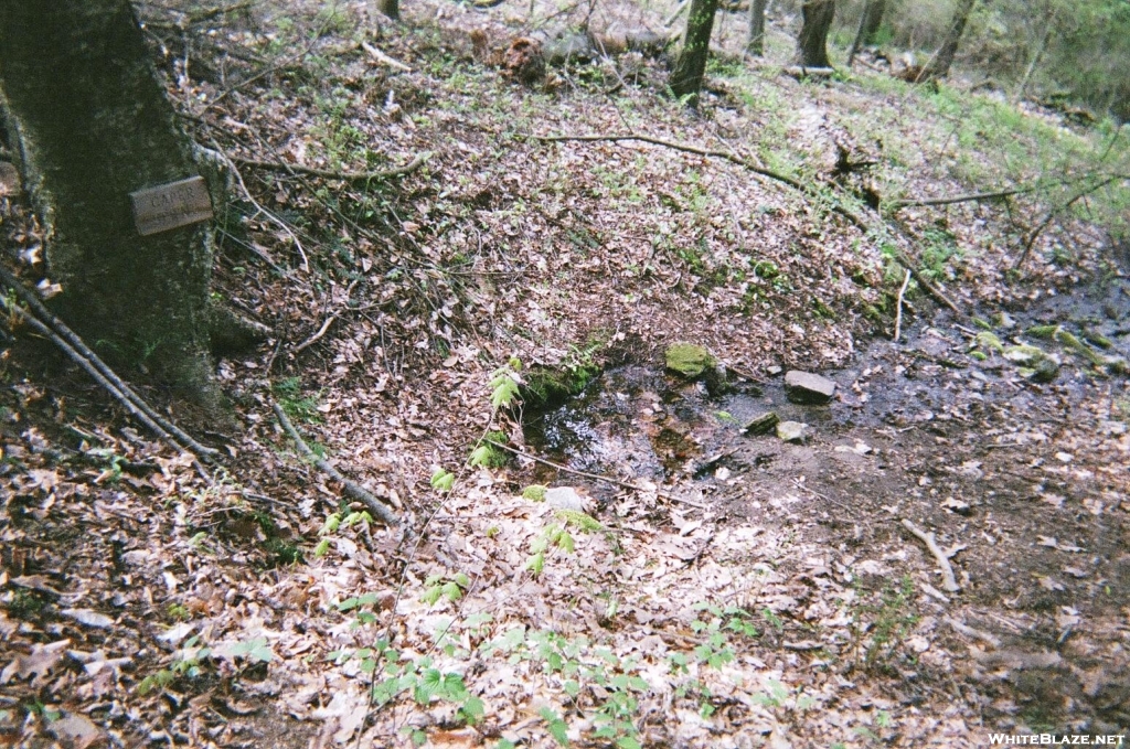 Caper Spring .2 mi south of 10 Mile River Lean-to in CT