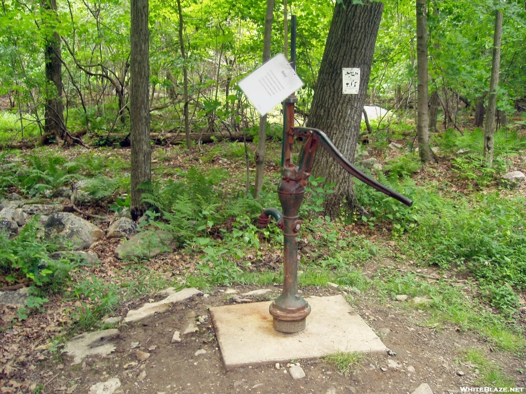 NY: Morgan Stewart Memorial Shelter, Iron Water Pump