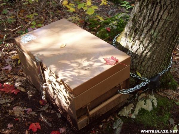 Brassie Brook Lean-to: Bear Box