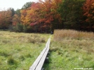 Plank walk near US 9 in New York. by refreeman in Trail & Blazes in New Jersey & New York