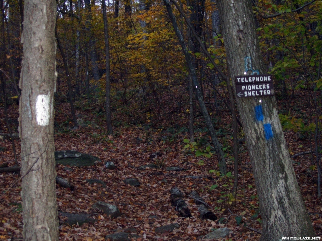 NY: Telephone Pioneers Shelter, Sign and Dots