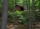 NY: Wildcat Shelter, Left Approach by refreeman in New Jersey & New York Shelters