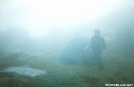 Tent Over 5000 ft in the clouds